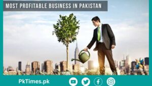 Which Business is Best in Pakistan